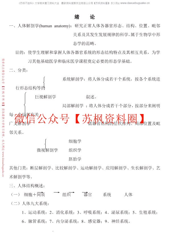 人体解剖学